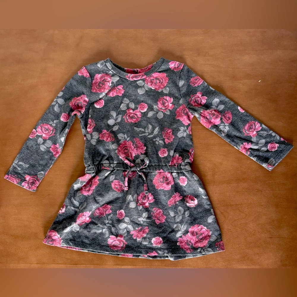Splendid brand 2T rose tunic/dress. Adorable for winter!